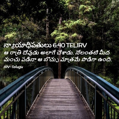 Picture 02 - న్యాయాధిపతులు 6:40 TELIRV - ఆ రాత్రి దేవుడు - Bible Verse Picture