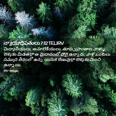 Picture 02 - న్యాయాధిపతులు 7:12 TELIRV - మిద్యానీయులు, - Bible Verse Picture