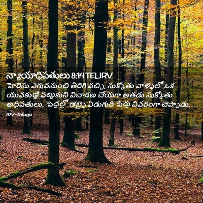 Picture 02 - న్యాయాధిపతులు 8:14 TELIRV - హెరెసు ఎగువనుంచి - Bible Verse Picture