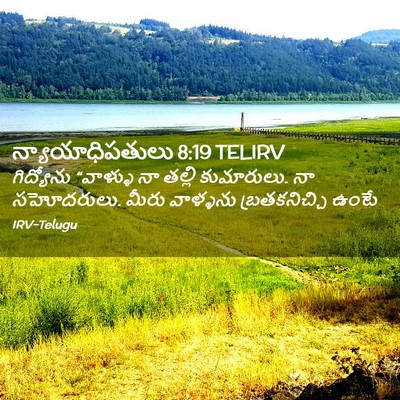 Picture 02 - న్యాయాధిపతులు 8:19 TELIRV - గిద్యోను “వాళ్ళు - Bible Verse Picture
