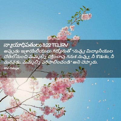 Picture 02 - న్యాయాధిపతులు 8:22 TELIRV - అప్పుడు - Bible Verse Picture