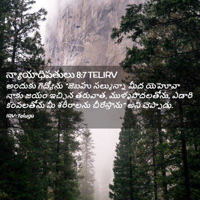 Picture 02 - న్యాయాధిపతులు 8:7 TELIRV - అందుకు గిద్యోను - Bible Verse Picture