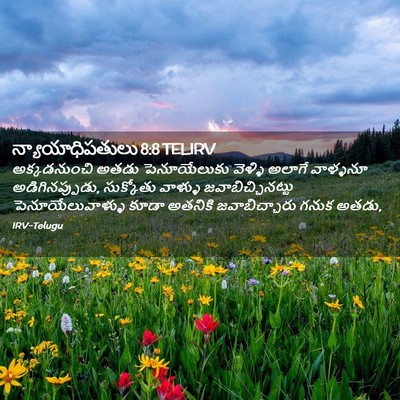 Picture 02 - న్యాయాధిపతులు 8:8 TELIRV - అక్కడనుంచి అతడు - Bible Verse Picture