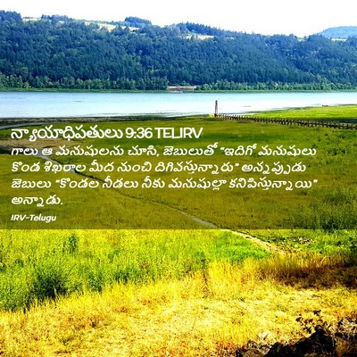 Picture 02 - న్యాయాధిపతులు 9:36 TELIRV - గాలు ఆ మనుషులను - Bible Verse Picture