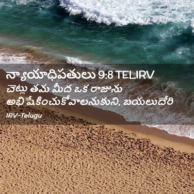 Picture 02 - న్యాయాధిపతులు 9:8 TELIRV - చెట్లు తమ మీద ఒక - Bible Verse Picture