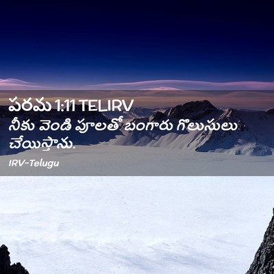 Picture 02 - పరమ 1:11 TELIRV - నీకు వెండి పూలతో - Bible Verse Picture