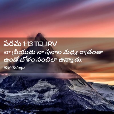 Picture 02 - పరమ 1:13 TELIRV - నా ప్రియుడు నా - Bible Verse Picture