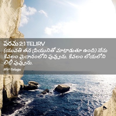 Picture 02 - పరమ 2:1 TELIRV - (యువతి తన - Bible Verse Picture