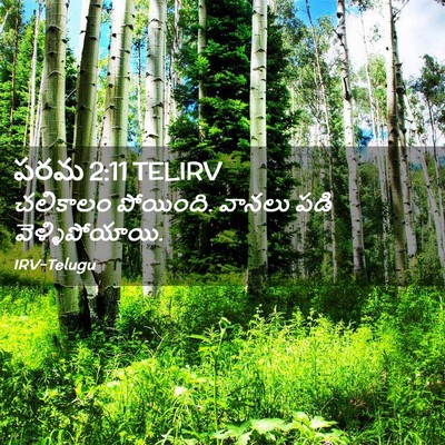 Picture 02 - పరమ 2:11 TELIRV - చలికాలం పోయింది. - Bible Verse Picture