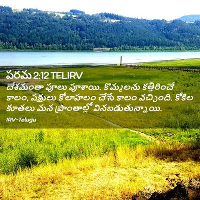 Picture 02 - పరమ 2:12 TELIRV - దేశమంతా పూలు - Bible Verse Picture