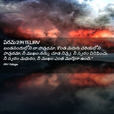 Picture 02 - పరమ 2:14 TELIRV - బండసందుల్లోని నా - Bible Verse Picture