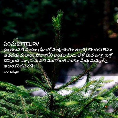 Picture 02 - పరమ 2:7 TELIRV - (ఆ యువతి మిగతా - Bible Verse Picture