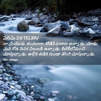 Picture 02 - పరమ 2:9 TELIRV - నా ప్రియుడు - Bible Verse Picture