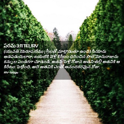 Picture 02 - పరమ 3:11 TELIRV - (యువతి యెరూషలేము - Bible Verse Picture
