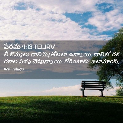 Picture 02 - పరమ 4:13 TELIRV - నీ కొమ్మలు - Bible Verse Picture