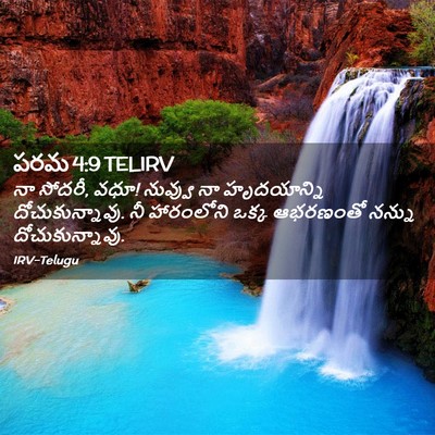 Picture 02 - పరమ 4:9 TELIRV - నా సోదరీ, వధూ! - Bible Verse Picture