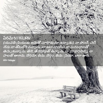 Picture 02 - పరమ 5:1 TELIRV - (యువతి ప్రియుడు - Bible Verse Picture