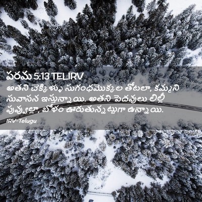 Picture 02 - పరమ 5:13 TELIRV - అతని చెక్కిళ్ళు - Bible Verse Picture