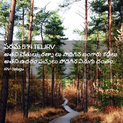 Picture 02 - పరమ 5:14 TELIRV - అతని చేతులు, - Bible Verse Picture