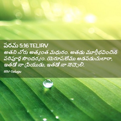 Picture 02 - పరమ 5:16 TELIRV - అతని నోరు అత్యంత - Bible Verse Picture