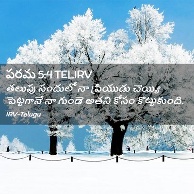 Picture 02 - పరమ 5:4 TELIRV - తలుపు సందులో నా - Bible Verse Picture