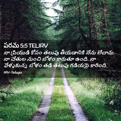 Picture 02 - పరమ 5:5 TELIRV - నా ప్రియుడి కోసం - Bible Verse Picture