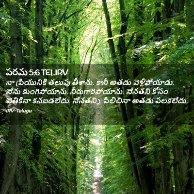 Picture 02 - పరమ 5:6 TELIRV - నా ప్రియునికి - Bible Verse Picture