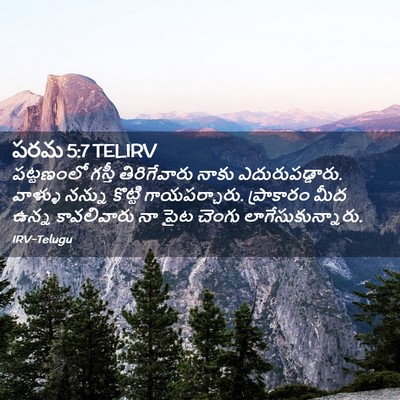 Picture 02 - పరమ 5:7 TELIRV - పట్టణంలో గస్తీ - Bible Verse Picture