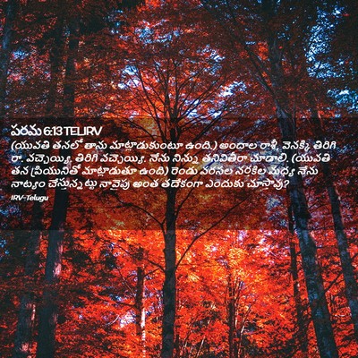 Picture 02 - పరమ 6:13 TELIRV - (యువతి తనలో తాను - Bible Verse Picture