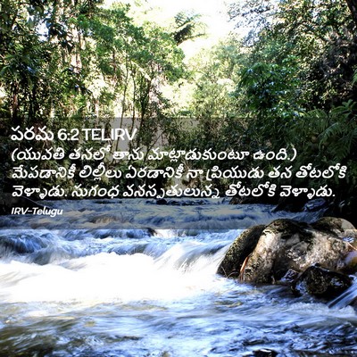 Picture 02 - పరమ 6:2 TELIRV - (యువతి తనలో తాను - Bible Verse Picture