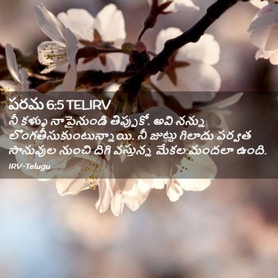 Picture 02 - పరమ 6:5 TELIRV - నీ కళ్ళు - Bible Verse Picture