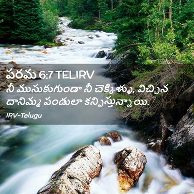 Picture 02 - పరమ 6:7 TELIRV - నీ ముసుకుగుండా నీ - Bible Verse Picture