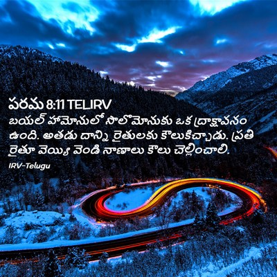 Picture 02 - పరమ 8:11 TELIRV - బయల్ హామోనులో - Bible Verse Picture
