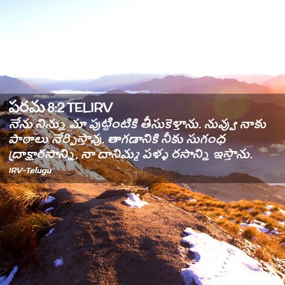 Picture 02 - పరమ 8:2 TELIRV - నేను నిన్ను మా - Bible Verse Picture