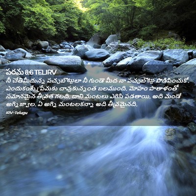 Picture 02 - పరమ 8:6 TELIRV - నీ చేతిమీదున్న - Bible Verse Picture