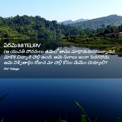 Picture 02 - పరమ 8:8 TELIRV - (ఆ యువతి సోదరులు - Bible Verse Picture