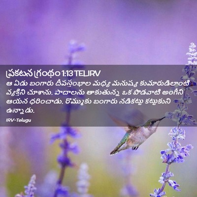 Picture 02 - ప్రకటన గ్రంథం 1:13 TELIRV - ఆ ఏడు బంగారు - Bible Verse Picture