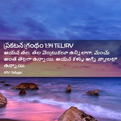 Picture 02 - ప్రకటన గ్రంథం 1:14 TELIRV - ఆయన తల, తల - Bible Verse Picture