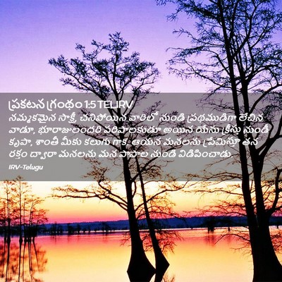 Picture 02 - ప్రకటన గ్రంథం 1:5 TELIRV - నమ్మకమైన సాక్షీ, - Bible Verse Picture