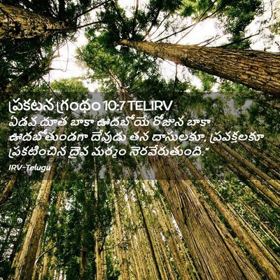 Picture 02 - ప్రకటన గ్రంథం 10:7 TELIRV - ఏడవ దూత బాకా - Bible Verse Picture