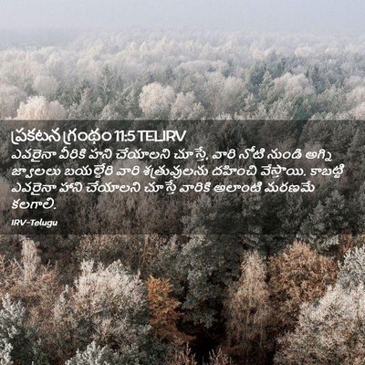 Picture 02 - ప్రకటన గ్రంథం 11:5 TELIRV - ఎవరైనా వీరికి హని - Bible Verse Picture