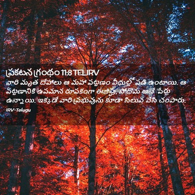 Picture 02 - ప్రకటన గ్రంథం 11:8 TELIRV - వారి మృత దేహాలు ఆ - Bible Verse Picture