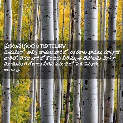 Picture 02 - ప్రకటన గ్రంథం 11:9 TELIRV - మనుషుల్లో, అన్ని - Bible Verse Picture