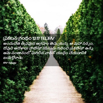 Picture 02 - ప్రకటన గ్రంథం 12:17 TELIRV - అందుచేత తీవ్రమైన - Bible Verse Picture