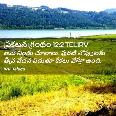Picture 02 - ప్రకటన గ్రంథం 12:2 TELIRV - ఆమె నిండు చూలాలు. - Bible Verse Picture
