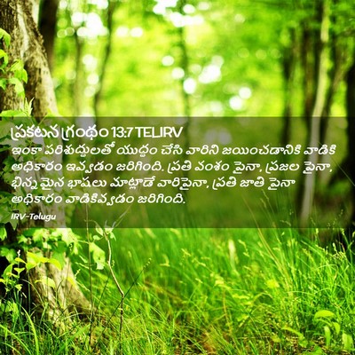 Picture 02 - ప్రకటన గ్రంథం 13:7 TELIRV - ఇంకా పరిశుద్ధులతో - Bible Verse Picture