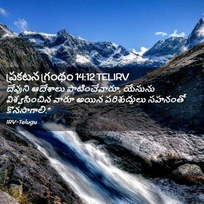 Picture 02 - ప్రకటన గ్రంథం 14:12 TELIRV - దేవుని ఆదేశాలు - Bible Verse Picture