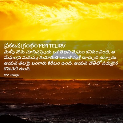 Picture 02 - ప్రకటన గ్రంథం 14:14 TELIRV - మళ్ళీ నేను - Bible Verse Picture