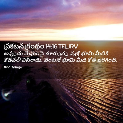 Picture 02 - ప్రకటన గ్రంథం 14:16 TELIRV - అప్పుడు మేఘంపై - Bible Verse Picture