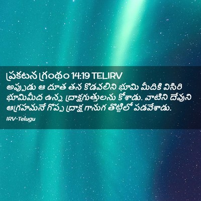 Picture 02 - ప్రకటన గ్రంథం 14:19 TELIRV - అప్పుడు ఆ దూత తన - Bible Verse Picture